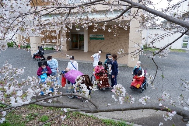 6病棟お花見
